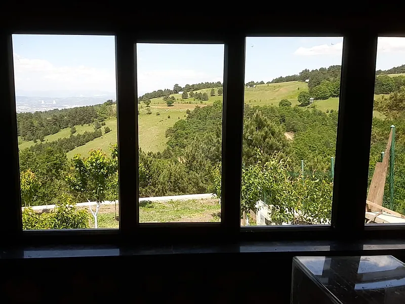 Kır manzarasına bakan beş kanatlı pencere doğraması, iç mekândan